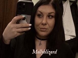 Mollyblizard