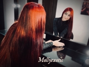 Mollyexotic