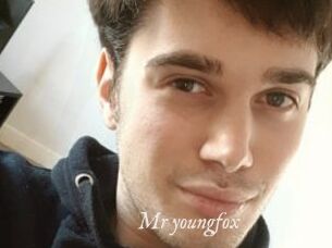 Mr_youngfox