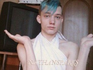 NATHAN_SPARKS