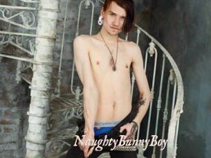 NaughtyBunnyBoy