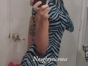Naughtyniceness