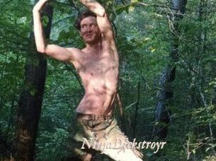 NinjaDickstroyr