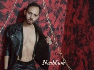 NoahCum