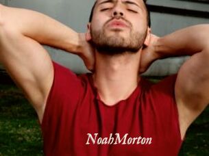 NoahMorton