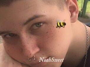 NoahSweet
