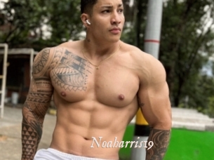 Noaharris19