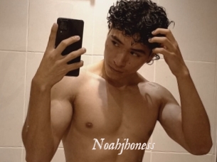 noahjhoness Chobix 