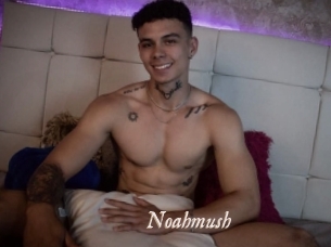 noahmush Chobix 