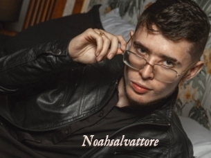 Noahsalvattore