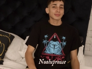 Noahsprouse