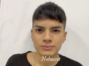 Nohascot