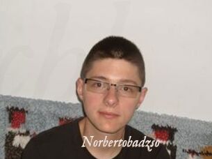 Norbertobadzso
