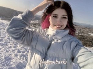 noreenbarks Chobix 