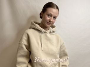 Noreengammell