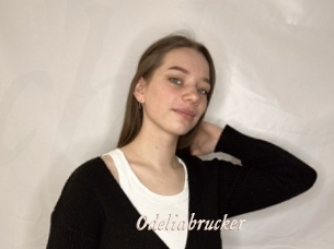 Odeliabrucker