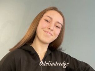 Odeliadredge