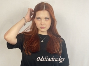 Odeliadrudge