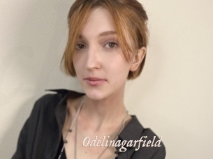 Odelinagarfield