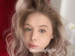 Odelindafugler