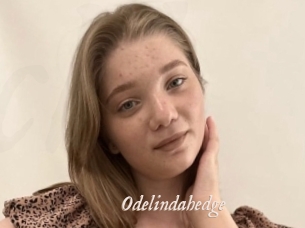 Odelindahedge