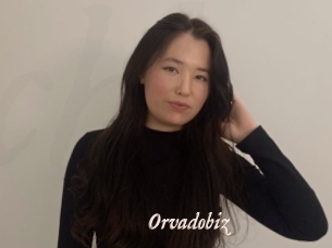 Orvadobiz