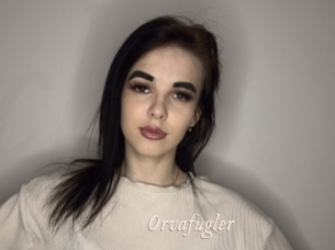 Orvafugler