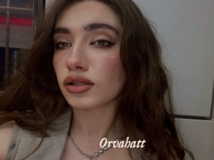 Orvahatt