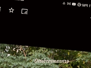 Ottobreymann19