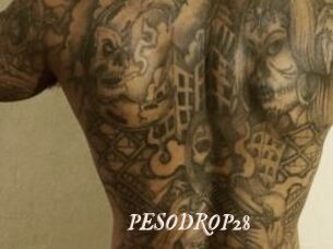 PESODROP28
