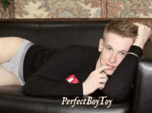 PerfectBoyToy
