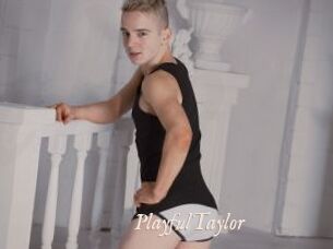 PlayfulTaylor