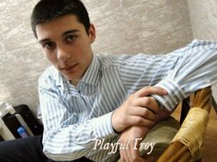 PlayfulTroy