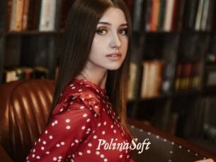 PolinaSoft