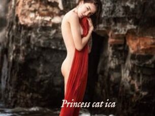 Princess_cat_ica