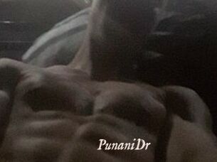 PunaniDr