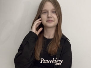 Peacebigge