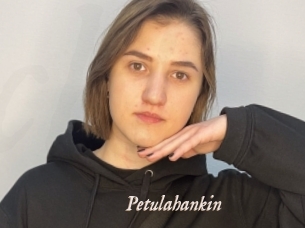 Petulahankin