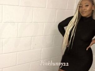 Pinkbunny22
