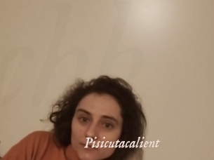 Pisicutacalient