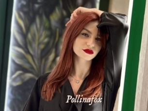 Pollinafox