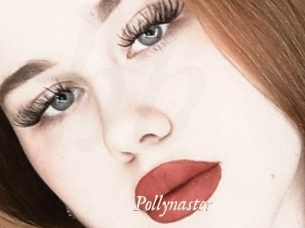 Pollynaster
