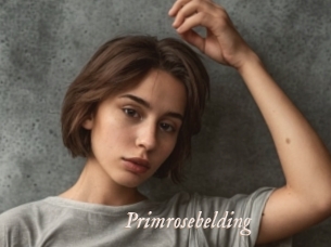 primrosebelding Chobix 