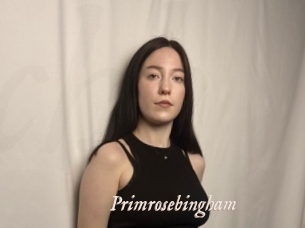 Primrosebingham