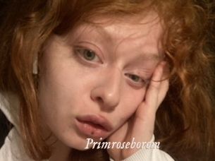Primroseborom