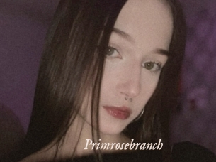 Primrosebranch