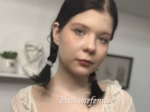 Primrosefenney