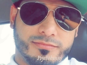 Psychobunny