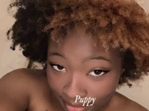 Puppy