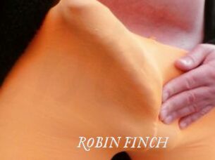 ROBIN_FINCH